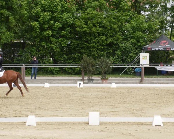 Reitturnier Winnenden 2025