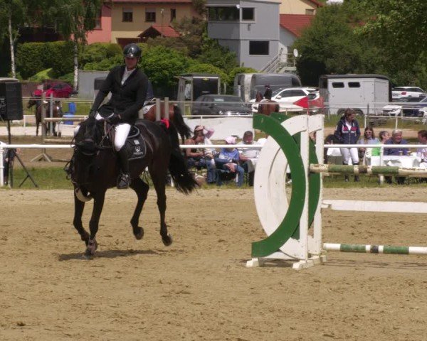 Reitturnier Heiligenwald 2025