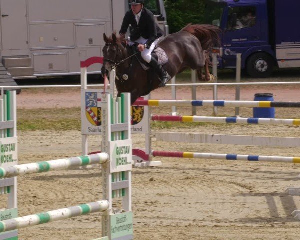 Reitturnier Heiligenwald 2025