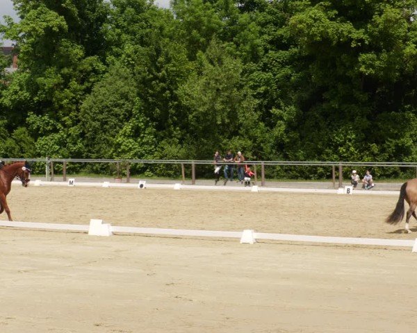 Reitturnier Winnenden 2025