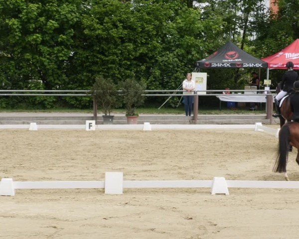 Reitturnier Winnenden 2025