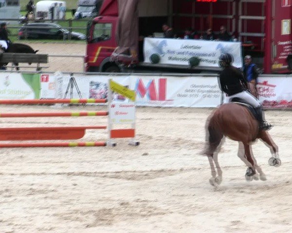 Reitturnier Mallersdorf-Pfaffenberg/Ndb. 2025
