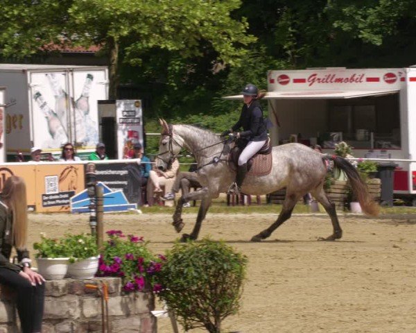 Reitturnier Heiligenwald 2025