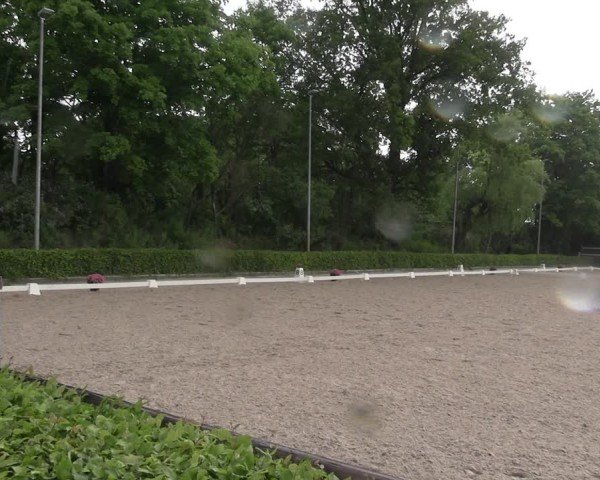 Reitturnier Müncheberg 2025