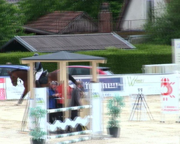 Reitturnier Mallersdorf-Pfaffenberg/Ndb. 2025