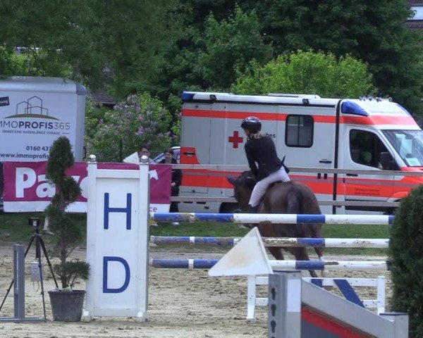 Reitturnier Niederbergheim 2025