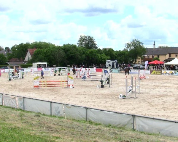 Reitturnier Mallersdorf-Pfaffenberg/Ndb. 2025