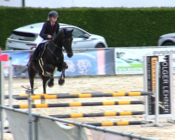 Reitturnier Mallersdorf-Pfaffenberg/Ndb. 2025