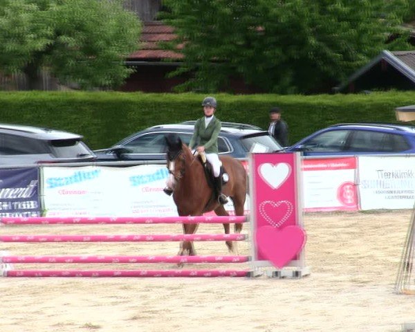 Reitturnier Mallersdorf-Pfaffenberg/Ndb. 2025