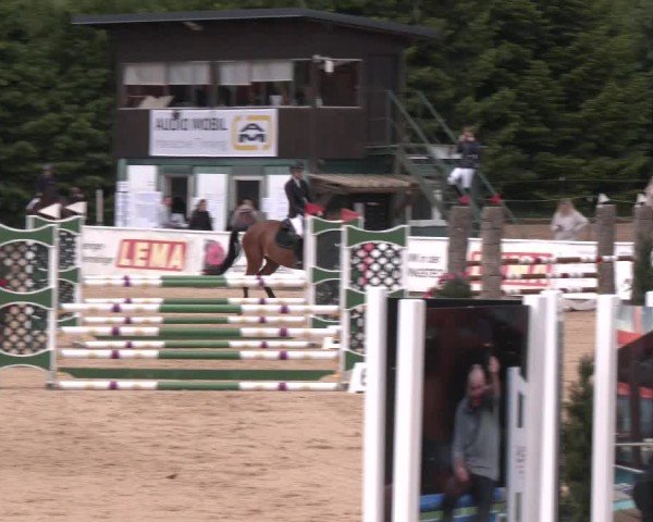 Reitturnier Ranshofen - Braunau am Inn 2025