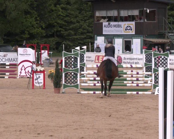 Reitturnier Ranshofen - Braunau am Inn 2025