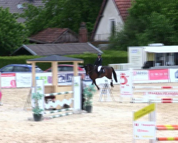 Reitturnier Mallersdorf-Pfaffenberg/Ndb. 2025
