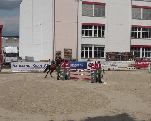 Reitturnier Sulgen 2025