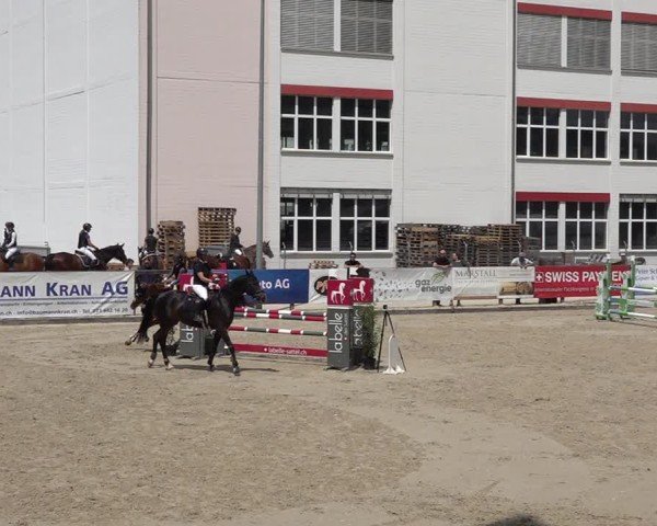 Reitturnier Sulgen 2025