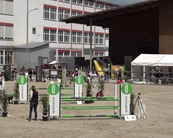 Reitturnier Sulgen 2025