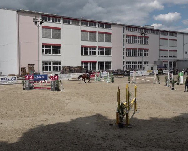 Reitturnier Sulgen 2025