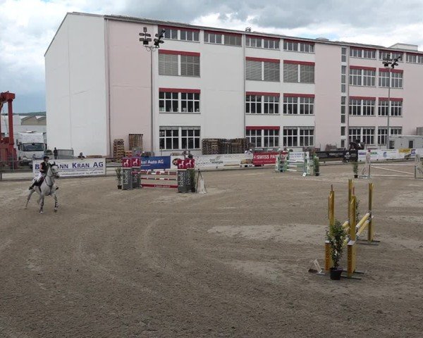 Reitturnier Sulgen 2025