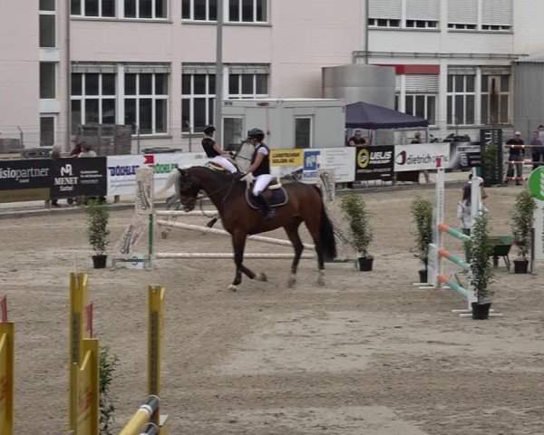 Reitturnier Sulgen 2025