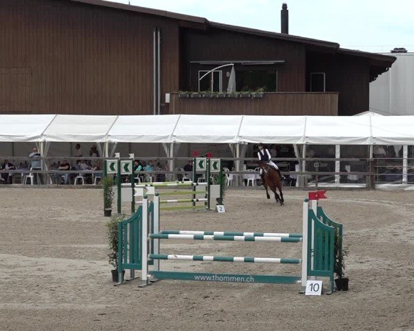 Reitturnier Sulgen 2025