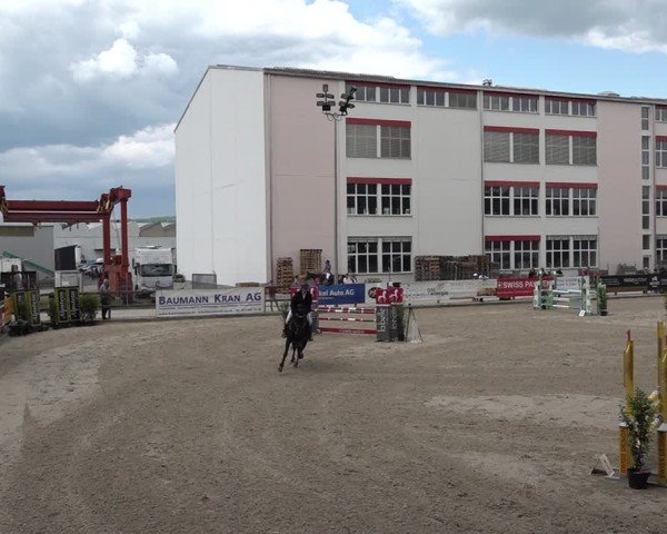 Reitturnier Sulgen 2025