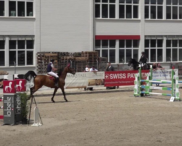 Reitturnier Sulgen 2025