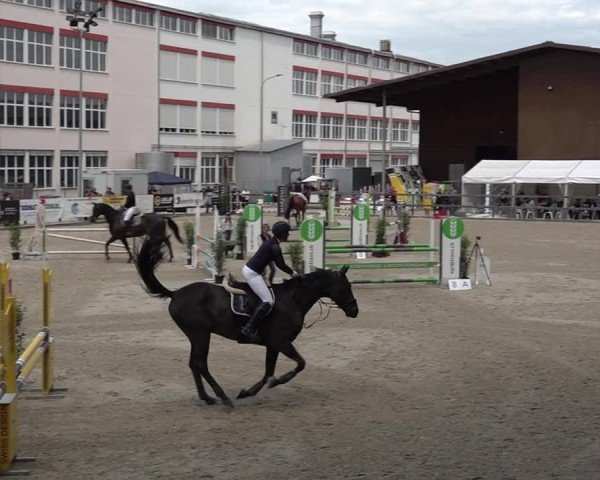 Reitturnier Sulgen 2025