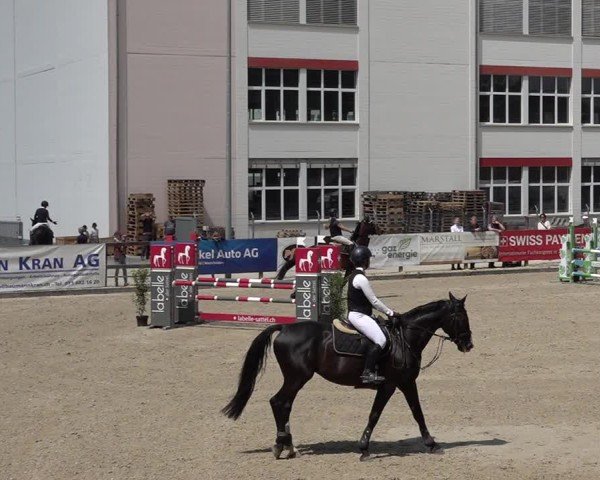 Reitturnier Sulgen 2025