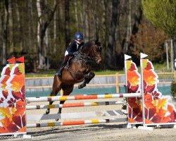 jumper Skyfall 007 (Estonian Sport, 2013, from Strahlemann)