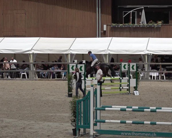 Reitturnier Sulgen 2025