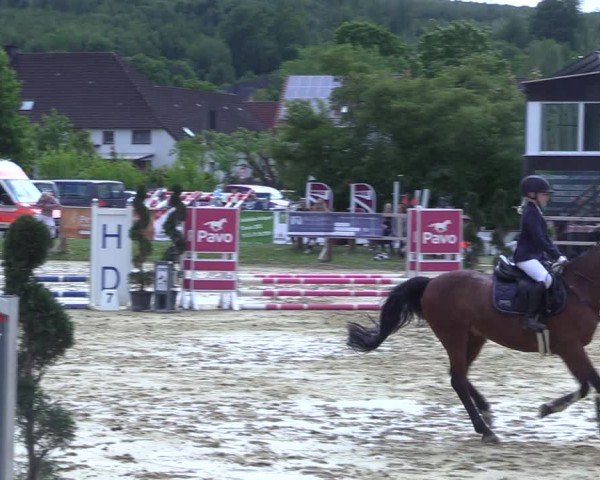 Reitturnier Niederbergheim 2025