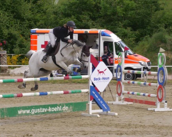 Reitturnier Heiligenwald 2025
