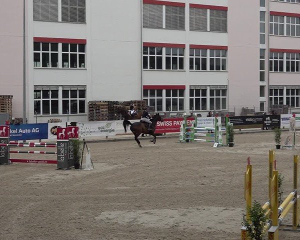 Reitturnier Sulgen 2025