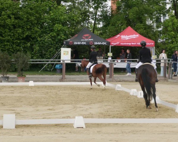 Reitturnier Winnenden 2025