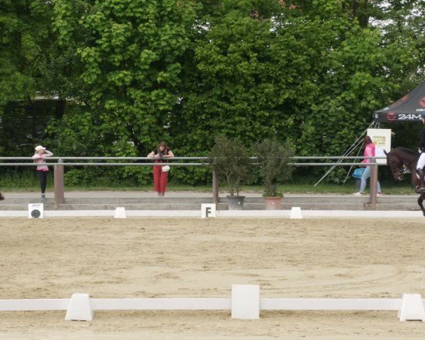 Reitturnier Winnenden 2025