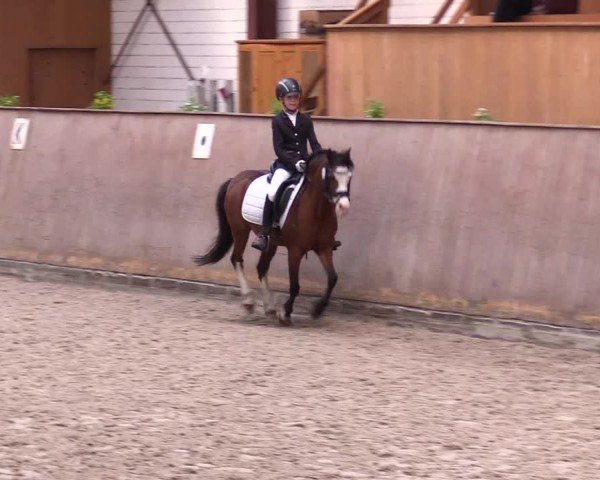 Reitturnier Risum-Lindholm 2025