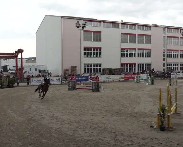Reitturnier Sulgen 2025