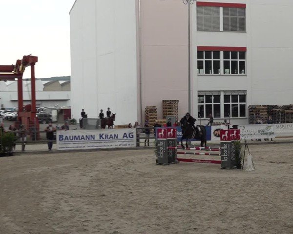 Reitturnier Sulgen 2025