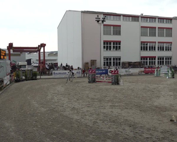 Reitturnier Sulgen 2025