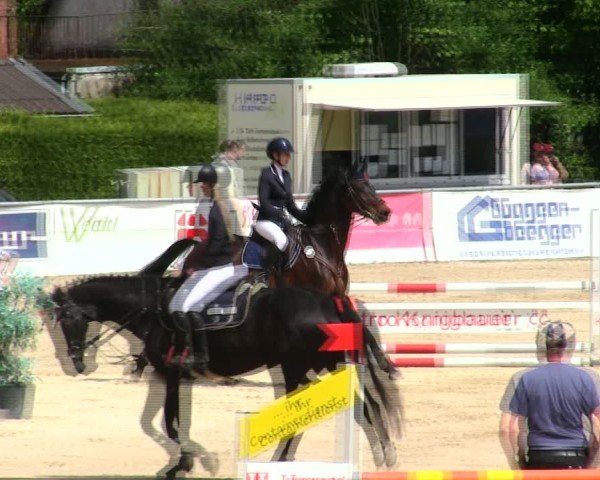 Reitturnier Mallersdorf-Pfaffenberg/Ndb. 2025