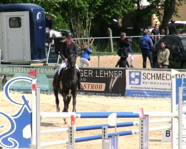 Reitturnier Mallersdorf-Pfaffenberg/Ndb. 2025