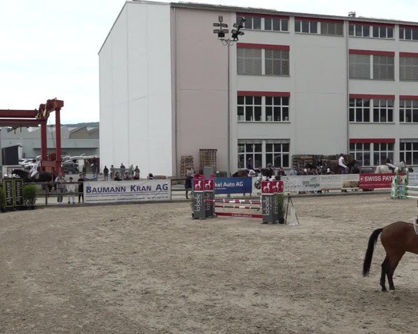 Reitturnier Sulgen 2025