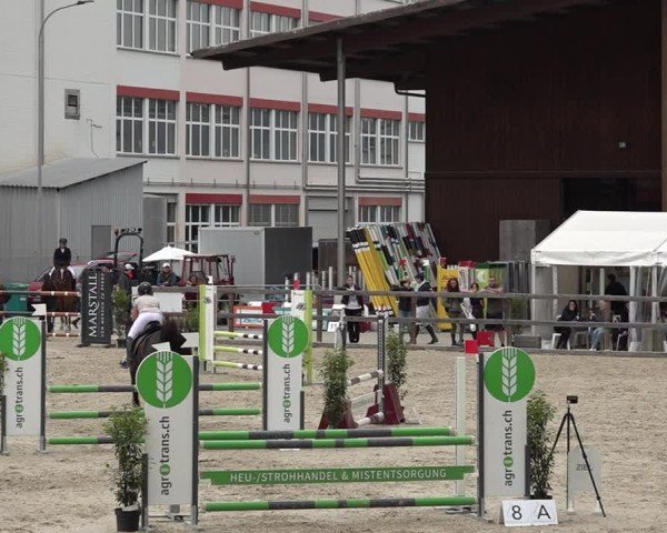 Reitturnier Sulgen 2025