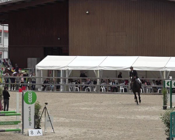 Reitturnier Sulgen 2025