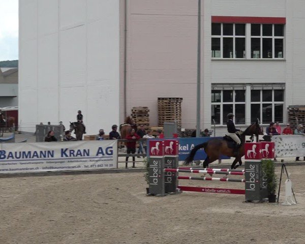 Reitturnier Sulgen 2025