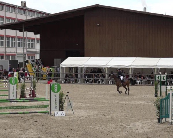 Reitturnier Sulgen 2025