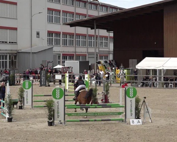 Reitturnier Sulgen 2025