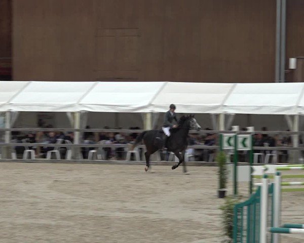 Reitturnier Sulgen 2025