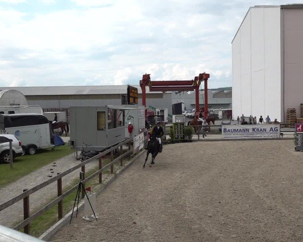 Reitturnier Sulgen 2025
