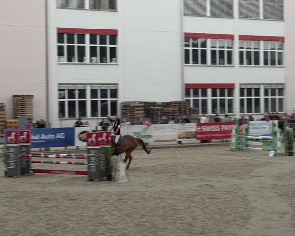 Reitturnier Sulgen 2025