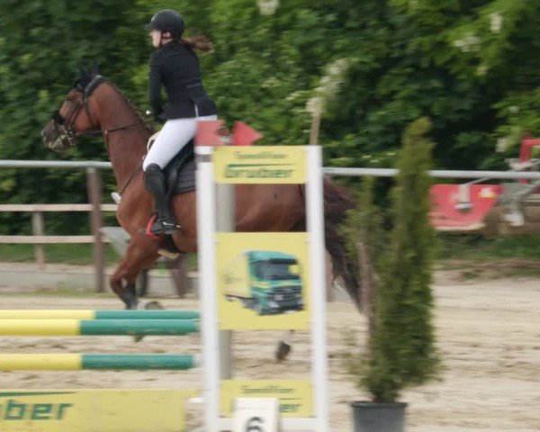 Reitturnier Winnenden 2025